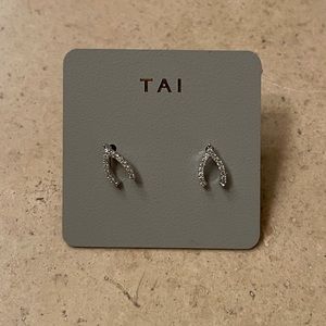 🆕 TAI silver earrings